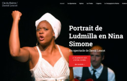 Photo du spectacle Portrait de Ludmilla en Nina Simone