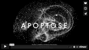 APOPTOSE - music by JP et Hervé Moire