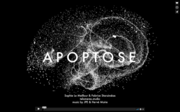 Cover de APOPTOSE - music by JP et Hervé Moire
