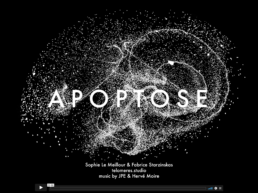 Cover de APOPTOSE - music by JP et Hervé Moire